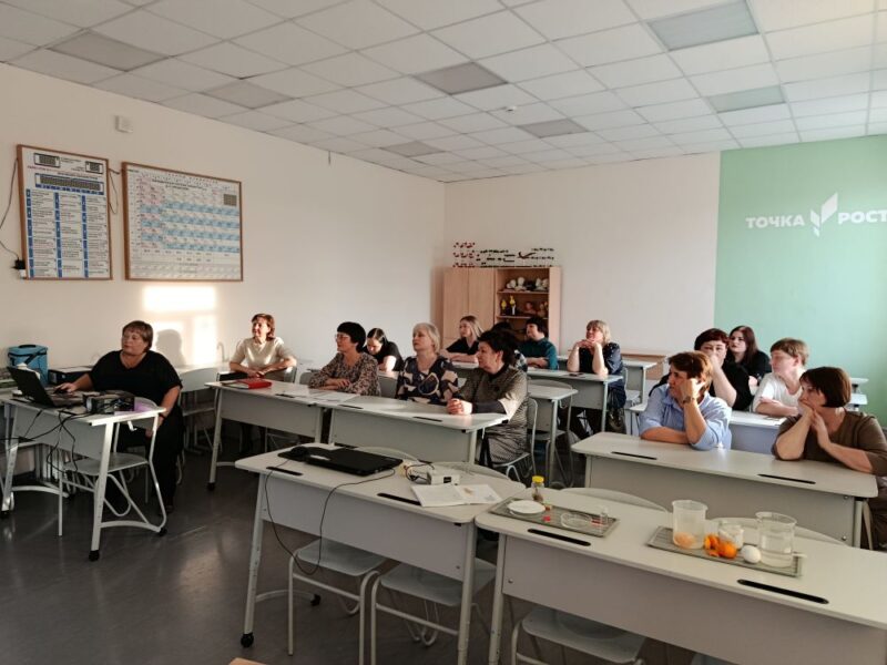 окружной семинар в ГБОУ СОШ № 3 г. о. Октябрьск в рамках деятельности стажировочной площадки