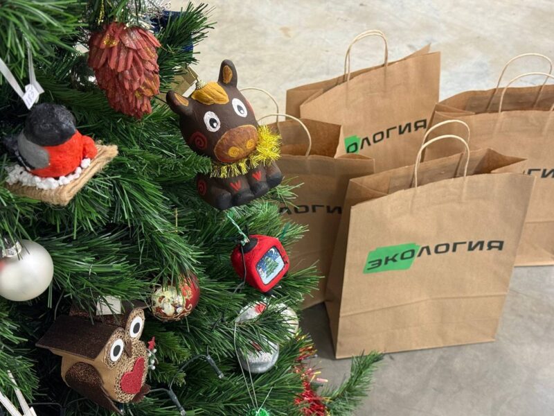  результаты областного конкурса ёлочной игрушки